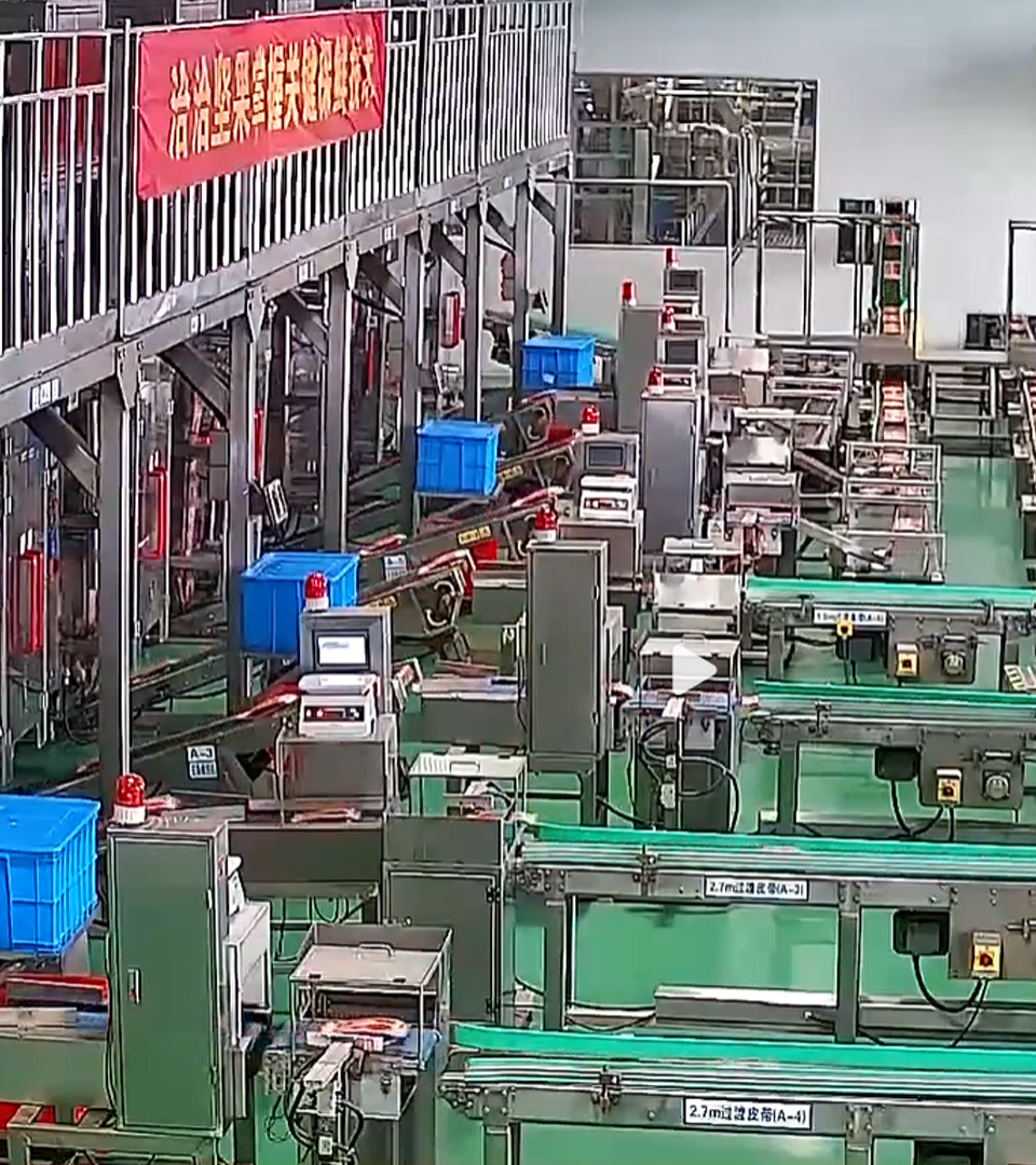 2020年yd12399云顶集团透明工厂直播